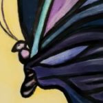 Profile picture of Butterfly