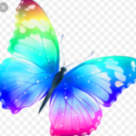 Profile picture of Butterfly13